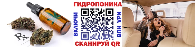 где можно купить   блэк спрут ссылка  Canna-Cookies марихуана  Железногорск-Илимский 